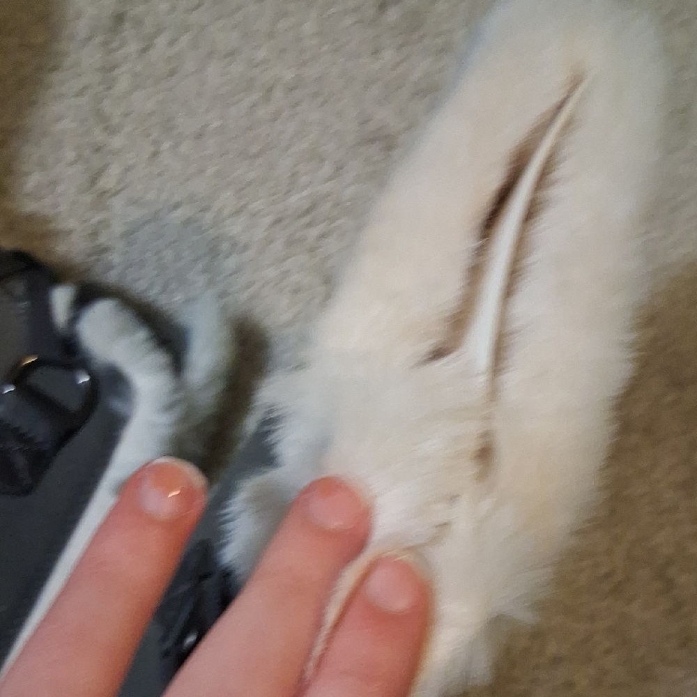 Dream Pairs Gray Ankle Boots with Faux Fur - Picture 3 of 15